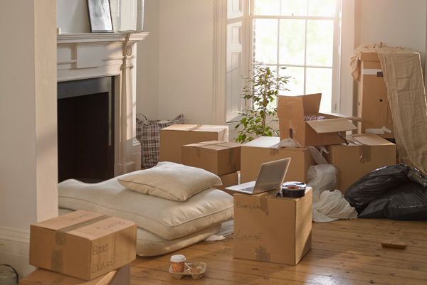 Poonia Relocation Cargo Movers